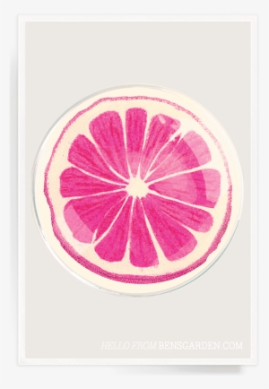 Ben's Garden - Pomelo #879209