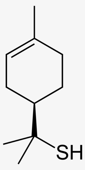 Grapefruit Mercaptan 2d Skeletal Vertical - Poly Methyl Phenyl Siloxane #879886