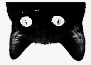 Report Abuse - Sticker Tumblr Png Black #879913