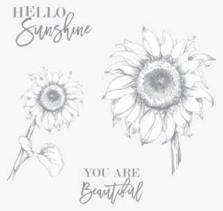 Hello Sunflower Stamp Set - Sunflower Drawing #8700137