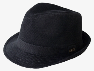 Fedora #8701370