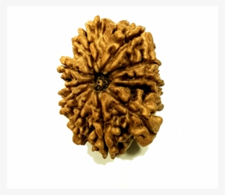 11 Mukhi Nepali (lord Hanumanji) - Food #8702175