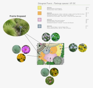 Creating Order With A Frame Of Turf Grass And A Split - Naturalistic Landscape Plant Designs #8702538