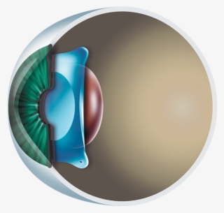 Atatürk Ile Ilgili Resimler #8702625