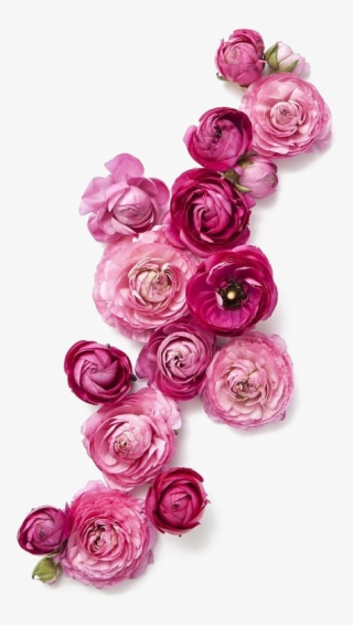 Rose Flower Wedding Invitation Pink - Roses Png #8705072 Rose Flower Wedding Invitation Pink - Roses Png #8705072