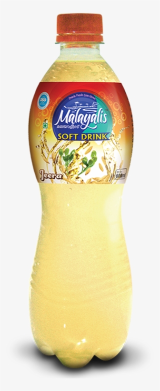 Packaged Drinking Water - Plastic Bottle #8706219