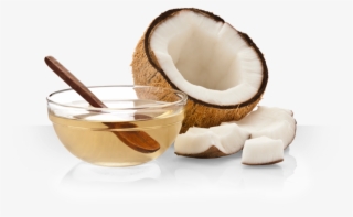 Coconut Oil - Coconut Oil Transparent Png #8708246