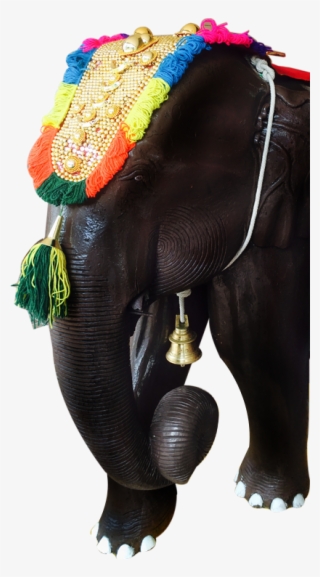 2019 Omar Shariff - Indian Elephant #8708410