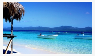 Punta Cana Dominican Republic Beach #8708528