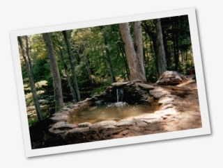 Adding Fish Ponds And Water Gardens New Hampshire Pond - Fish Pond #8708665