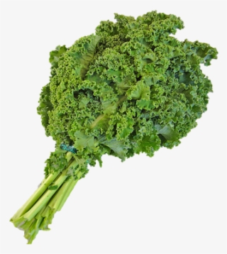 Canvas Print Png Native Kale Green Local Vegetable - Kale Shake #8708708