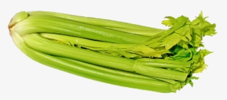 Celery, Vegetables, Vegetable, Green - Celery Fresh #8708759