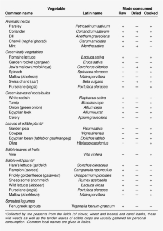 Free Png Download List Of Green Leafy Vegetables Png - Green Leafy Vegetables With Names #8708852