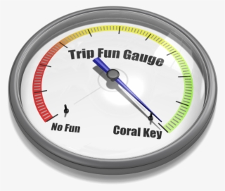 Gauge Needle Max 18448 #8708939