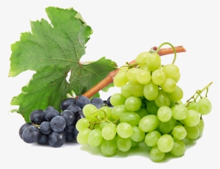 Grapes Free Png Image - Grape #8709079