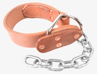 Buckle #8709702 Buckle #8709702