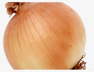 Onion Clipart Vegitables - Onion #8710134
