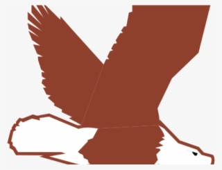 Bald Free On Dumielauxepices Net - Eagle Transparent Cartoon #8710499
