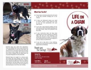 Life On A Chain - Dog's Life On A Chain #8710534