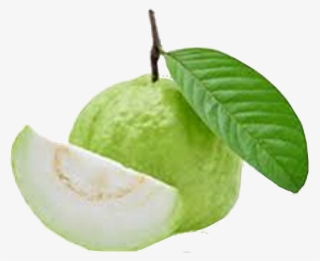 Guava Contains Nutrients That Help Curb All Kinds Of - Guava #8710975