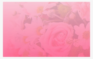 Birthday - Garden Roses #8711719