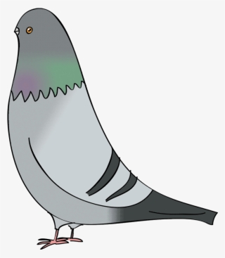 Flip Flop Flyin Big Pigeon - Pigeon Drawing Transparent #8712193