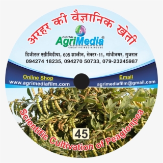 Arhar Ki Vaiganik Kheti - Cd #8712252