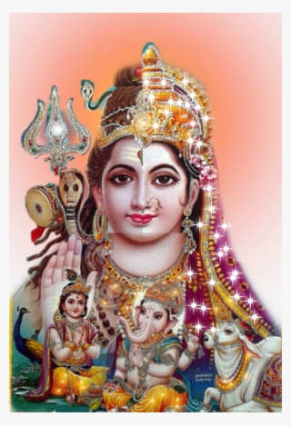 Pet Choice - Religion #8712297