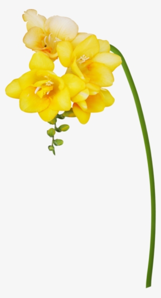 Яндекс - Фотки - Artificial Flower #8712623