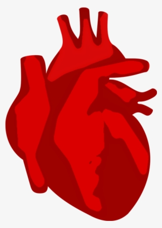 The Studio, We Love Web Design, Graphic Design, Photography, - Illustration #8712778