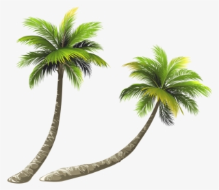 Arecaceae Coconut Royalty-free Illustration - Coconut Tree Png Clipart #8713422