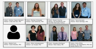 Internship Research Information - Girl #8713952