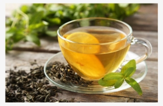 Everyone Should Drink Green Tea - Green Tea #8714556