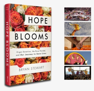 The First Ever Behind The Scenes Account Of Rose Parade - Garden Roses #8714619