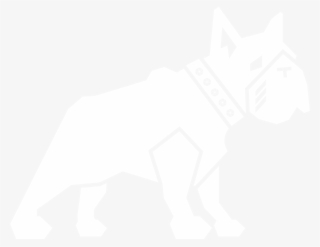 Graphic Designer And The Guy Who Captures Life As You - Illustration #8714768