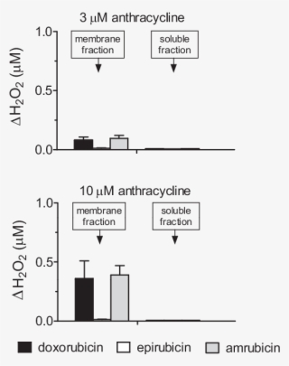 Ros Formation In Human Myocardial Strips Exposed To - Diagram #8715187