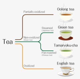 English Tea, [partially-oxidized] Oolong Tea, [non - Types Of Green Tea Japanese #8715268