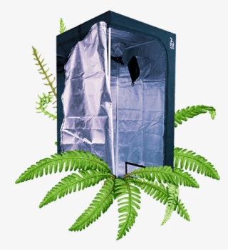Grow Tents - Outhouse #8716109