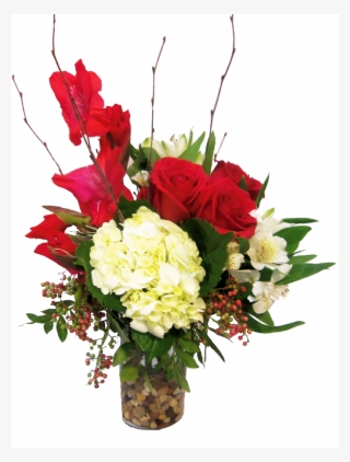 Indoor Plants Top View Png #8716256