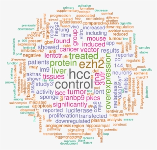 Sort By - Keyword Cloud #8717618