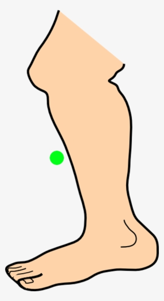 Shin - Leg Png Clipart Animated #8718450