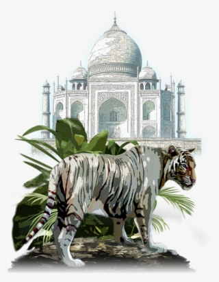 Click And Drag To Re-position The Image, If Desired - Taj Mahal #8718763