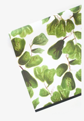 Fig Life Gift Wrap - Trachemys #8718884