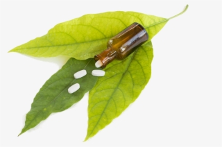 Merchant Exporter Of Anti-cancer Medicines & Oncology - Pharmaceutical Drug #8718949