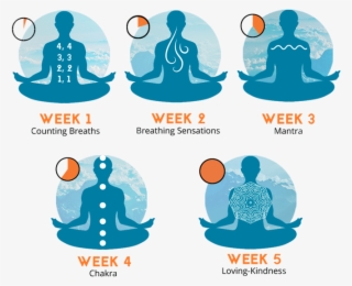 Png Library Archives Finding Health Wellness Master - Meditation Tips #8721593