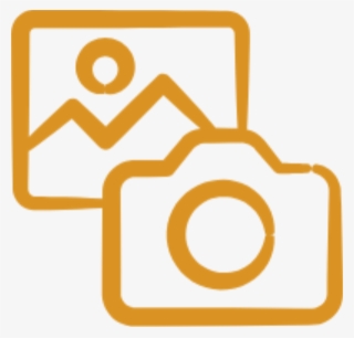 Wildlife Photography #8721733