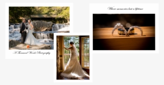 1000 Words - 3 - Photograph #8721877