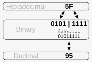 2000 X 1354 3 - Converting Hex To Binary #8721919