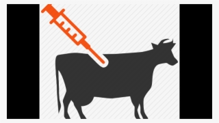 Meeting Local Demand For Animal Vaccine - Vaccination Poster In Animal #8722294