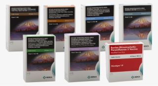 Vista® Vaccines - Tablet Computer #8722650